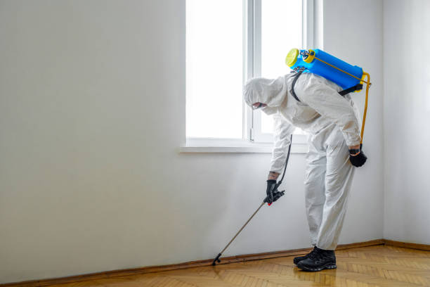 Best Real Estate Pest Inspections  in Georgetown, TX